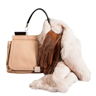 purse-handbag-cleaning Handbag & Purse Cleaning